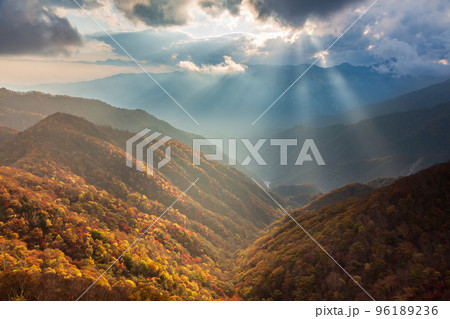 奥日光半月山駐車場から紅葉の山々を照らす夕日の光芒 96189236