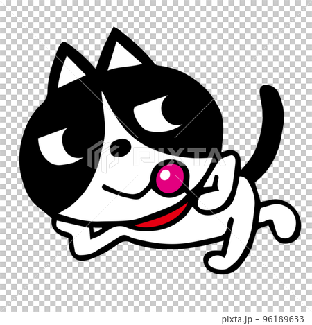 ぱちわれ パチワレちゃん (@waikikiyade) / Posts【ハチワレちゃん】