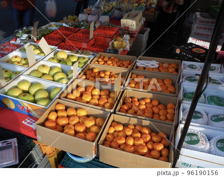 高知名物　日曜市にて 96190156