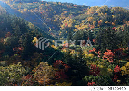 【北海道上富良野町】十勝岳の紅葉 【北海道上富良野町】十勝岳の紅葉 96190460