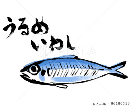 水彩画風 うるめいわしのイラスト素材 [96190519] - PIXTA