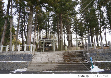 諏訪大社（下社）には本殿がありません。代わりに春宮ではスギの古木を、ご神木としています。 96190798