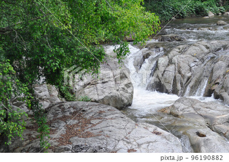 waterfall ,rock and tree in the forest or waterfall background 96190882