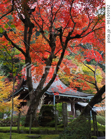 京都大原寂光院の紅葉 京都大原寂光院の紅葉 96190992