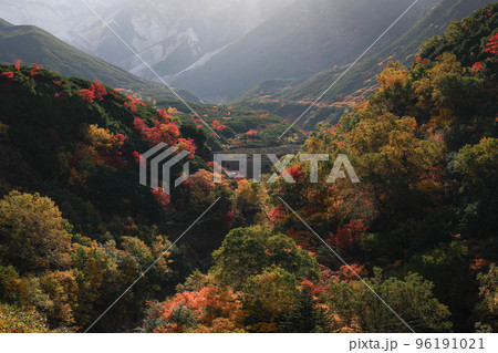 【北海道上富良野町】十勝岳の紅葉 96191021