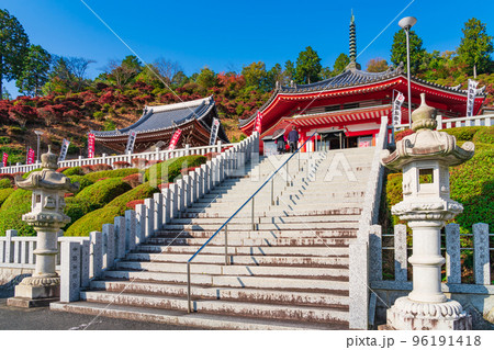 秋の大龍寺、紅葉するドウダンツツジ〈岐阜県岐阜市〉 秋の大龍寺、紅葉するドウダンツツジ〈岐阜県岐阜市〉 96191418