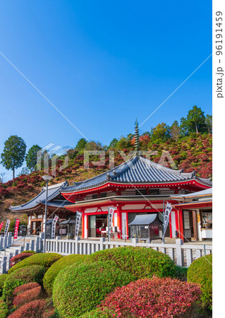 秋の大龍寺、紅葉するドウダンツツジ〈岐阜県岐阜市〉 96191459