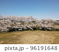 桜と青空 96191648