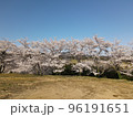 桜と空2 96191651