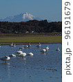 大山と白鳥 96191679