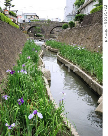高瀬眼鏡橋と菖蒲　（熊本県玉名市） 96191722