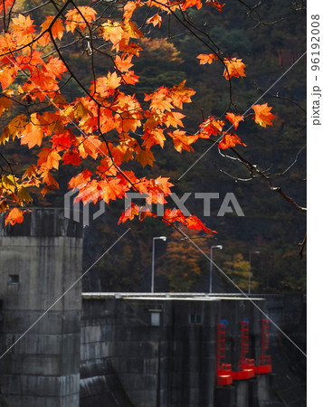 五泉市早出川ダムの紅葉 五泉市早出川ダムの紅葉 96192008