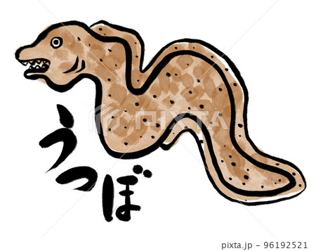 水彩画風　うつぼ 96192521