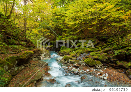 紅葉ののスッカン沢 紅葉ののスッカン沢 96192759