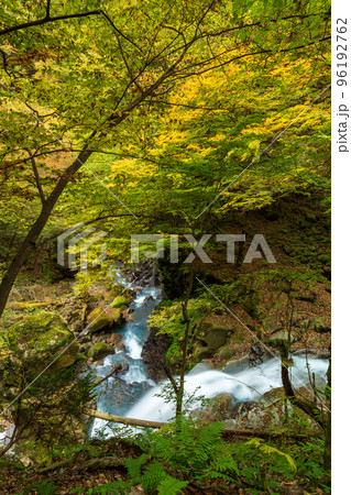 紅葉ののスッカン沢 仁三郎の滝 紅葉ののスッカン沢 仁三郎の滝 96192762