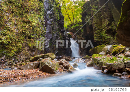 紅葉ののスッカン沢 雄飛の滝 96192766
