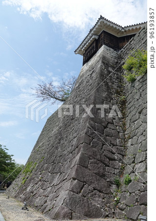 松山市の中心部、勝山（標高132m）にそびえ立つ松山城は、賤ヶ岳の合戦で有名な七本槍の 96193857