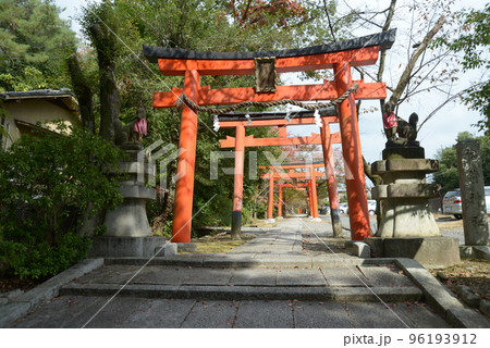 竹中稲荷神社 参道の鳥居 京都市左京区吉田 竹中稲荷神社 参道の鳥居 京都市左京区吉田 96193912