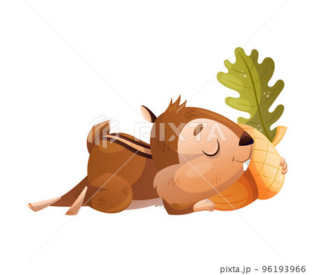 Funny Chipmunk Character with Cute Snout Sleeping with Acorn Vector Illustration Funny Chipmunk Character with Cute Snout Sleeping with Acorn Vector Illustration 96193966
