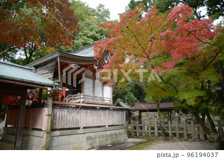 竹中稲荷神社 本殿と紅葉 京都市左京区吉田 竹中稲荷神社 本殿と紅葉 京都市左京区吉田 96194037