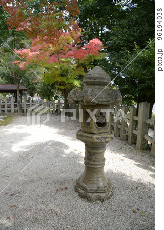 竹中稲荷神社　灯篭と紅葉　京都市左京区吉田 96194038