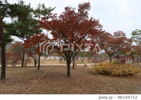秋 故宮 景福宮 96194732