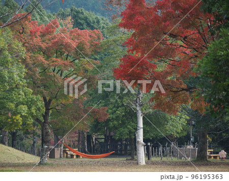 キャンプ場 96195363