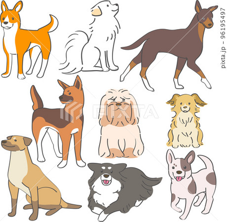 長毛や短毛の雑種の成犬セット 96195497