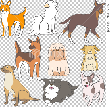 A set of long-haired and short-haired mixed breed adult dogs 96195497