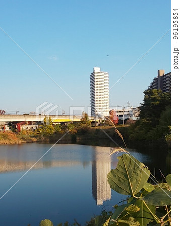 廃線となった桃花台線の高架と反射する水辺の写真です。 廃線となった桃花台線の高架と反射する水辺の写真です。 96195854