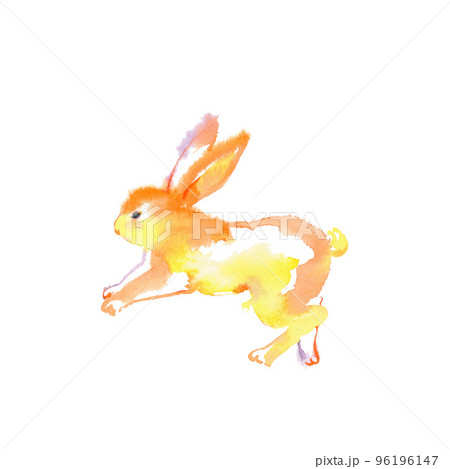 オレンジ色のうさぎ 96196147