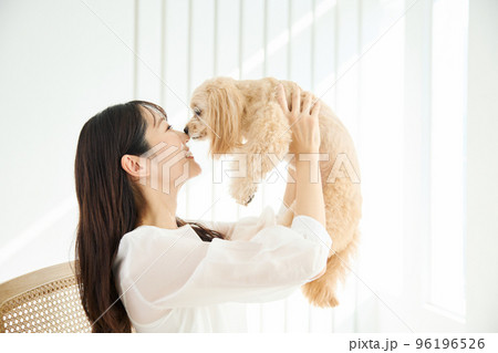 犬のいる暮らし 96196526