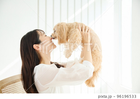 犬のいる暮らし 犬のいる暮らし 96196533