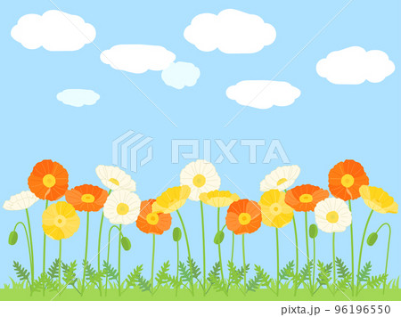 黄色と白とオレンジ色のポピーのお花畑と青空のイラスト 96196550