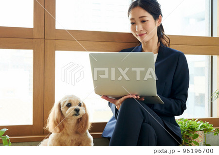 犬のいるオフィス 犬のいるオフィス 96196700