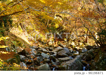 秋色・芦津渓の風景 96196871