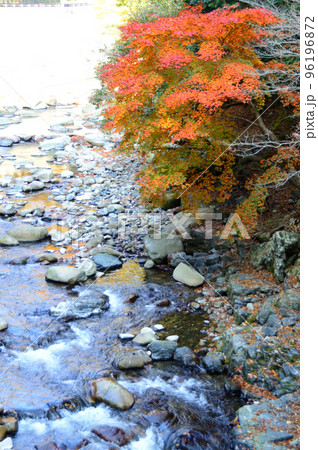 秋色・芦津渓の風景 96196872