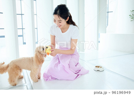 愛犬と遊ぶ女性 96196949