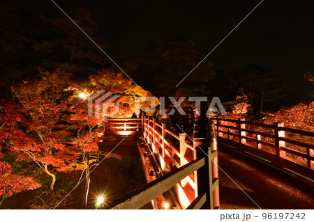 弥彦公園もみじ谷ライトアップ 96197242