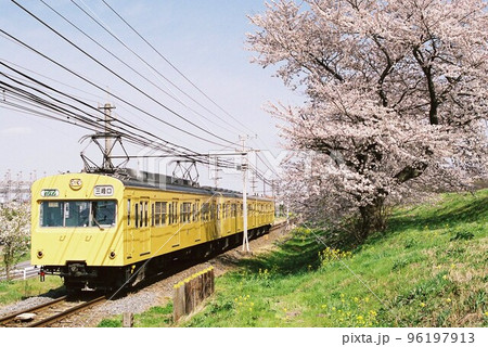 春の秩父本線をゆく秩父鉄道1000系 春の秩父本線をゆく秩父鉄道1000系 96197913