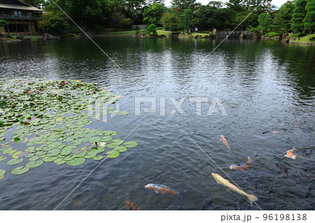 徳川園 96198138