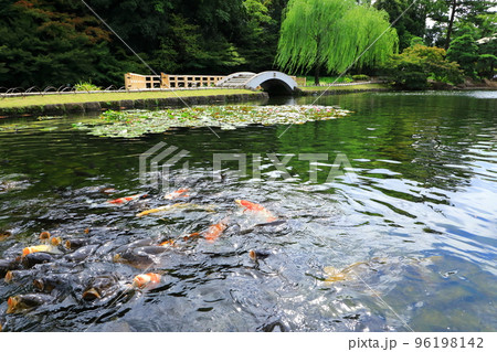 徳川園 96198142