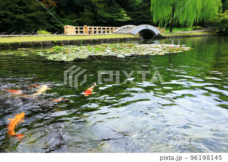徳川園 96198145