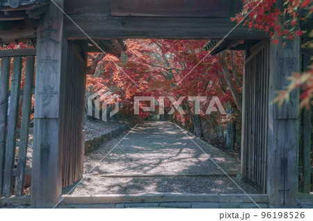 丈六寺の紅葉　一の門　徳島 96198526