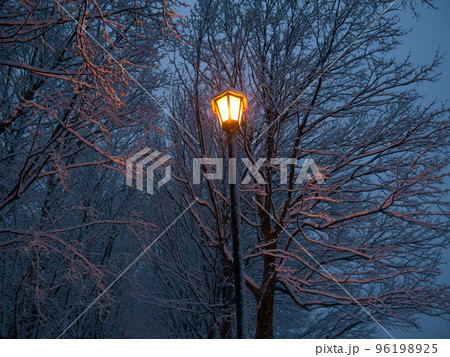 公園に雪が降った夜明け前に撮影した街灯 96198925
