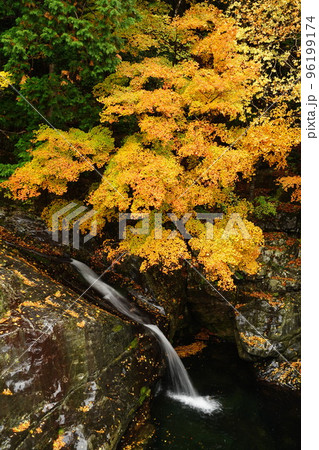 雨・紅葉の御手洗（みたらい）渓谷・出合滝　（奈良県　吉野郡　天川村） 96199174
