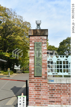 東京芸術大学 東京芸術大学 96199216