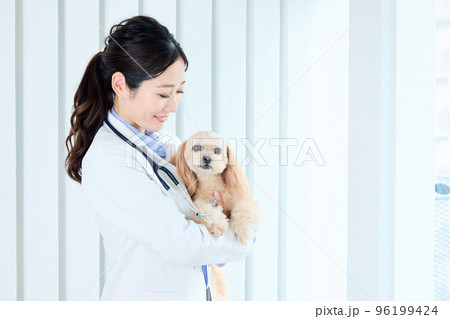 女性獣医師 女性獣医師 96199424