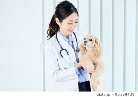 女性獣医師 96199439
