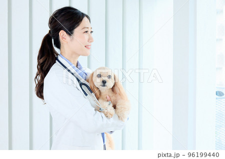 女性獣医師 女性獣医師 96199440